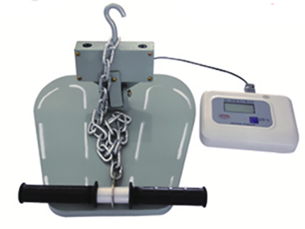 1636348638997167.jpg Back Strength Meter (Electronic Display).jpg